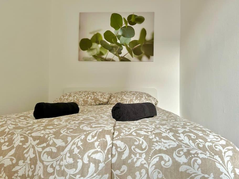 Appartement 50 M2 Stylish With Free Parking