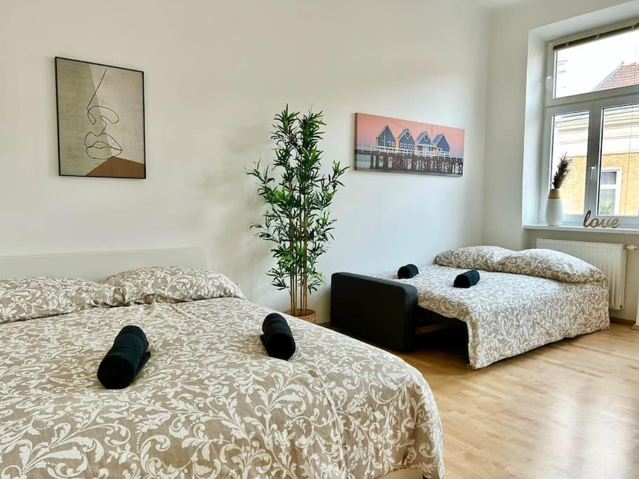 50 M2 Stylish With Free Parking Appartement *